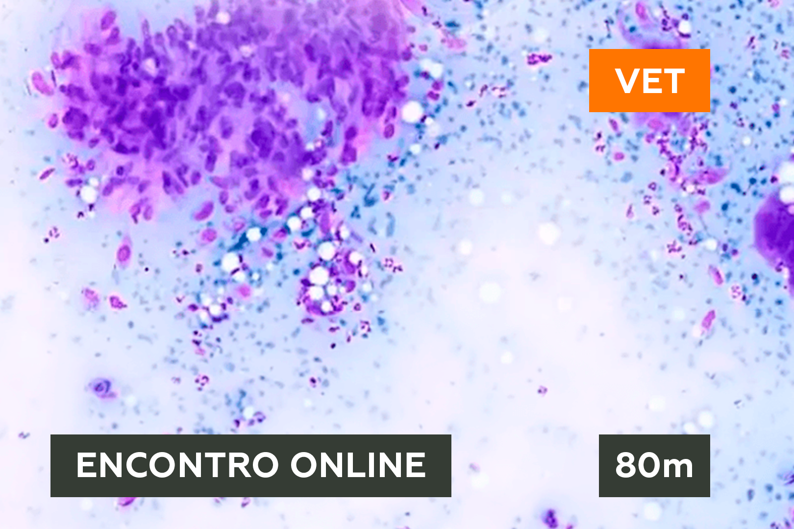 Diagnóstico